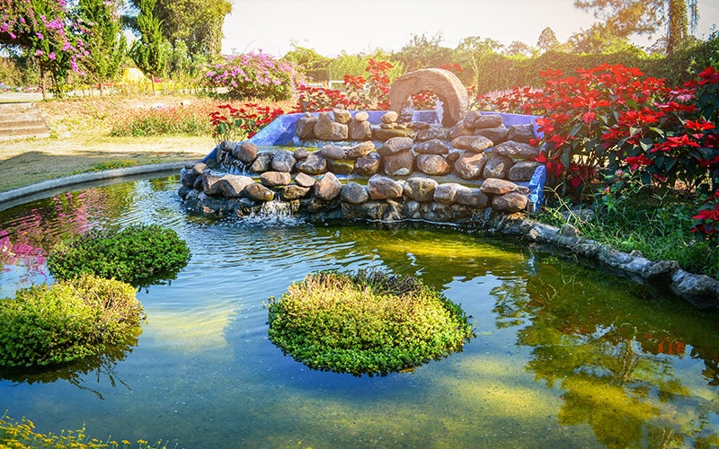 siervijver