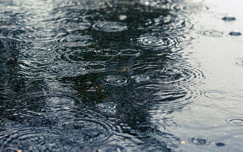 regenwatervijver